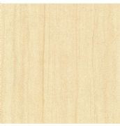 ����մɵشu ɰ�rʯϵ��Q6060S031 �L600mm����600mm 