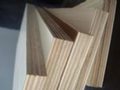 ���f�������谷�� ���B(t��i)�����B(t��i)���Ӱ� 1220mm��2440mm����17mm 