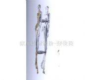 �����_(d��)�����T���� ��ʽ���ͦ�600*275 �Ͻ�JD-8627 ����Ҏ(gu��)�� 