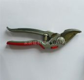 �ζ��� �G������ ���A����֦��8702 ����22cm 