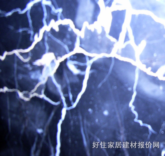 巴西大理石 巴西中花白 1800mm×1600mm